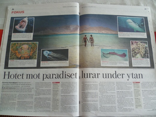 Dödliga djur i havet