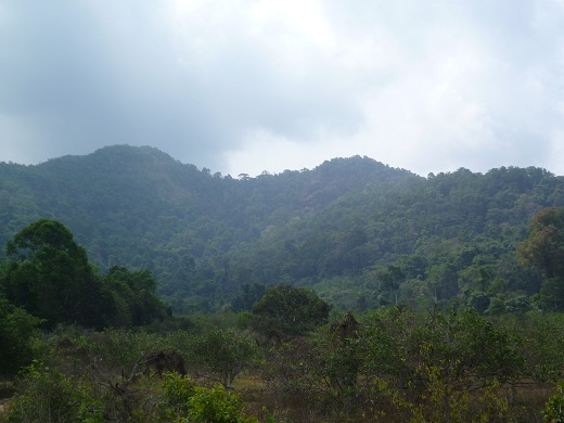 Koh Chang