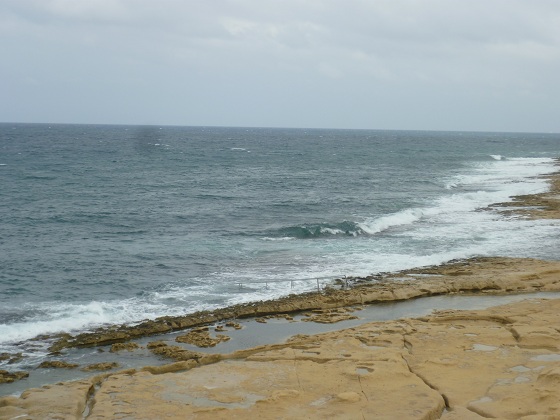 P1020292